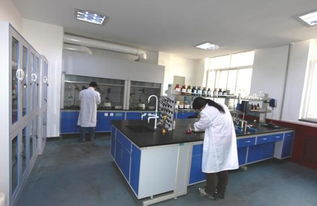 西安生漆涂料研究所新材料技術開發服務 賦能產業創新與可持續發展