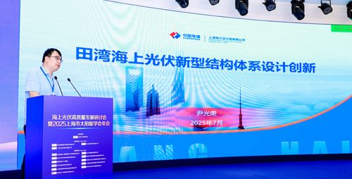海上光伏高質量發展研討會暨2025上海市太陽能學會年會圓滿舉行