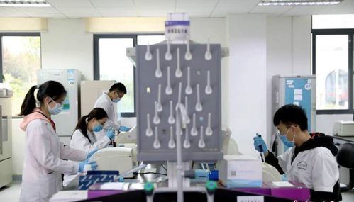 研究生被師哥師姐要求打雜，該說(shuō)“不”嗎？——新材料技術(shù)開(kāi)發(fā)中的成長(zhǎng)智慧