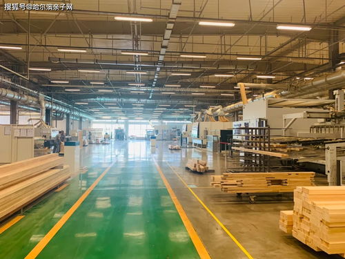 探秘工業奇跡 哈爾濱親子網攜手立倉網絡，走進世界最大的被動式工廠