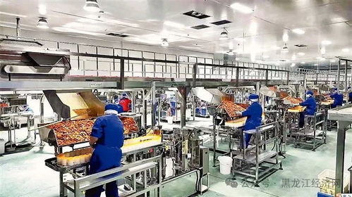 梅里斯百億級休閑食品產業乘風啟航